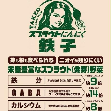 5d84a6e19658033816efcff4