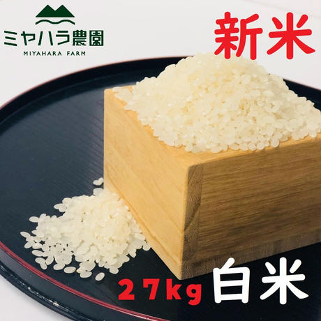 5dec7aa3b080e03649e68c1b