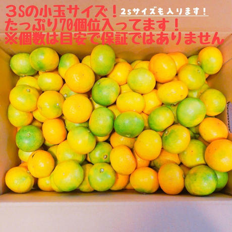 5d9489d396580351e48db696