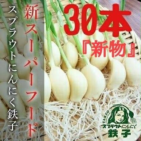 5d85b45d5b61b406888f4caf