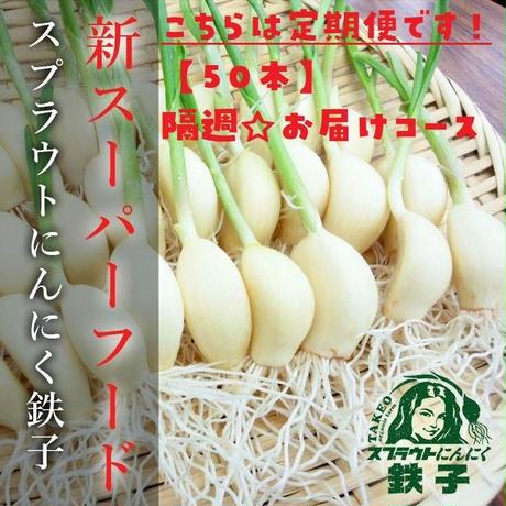 5dd675b64fb6c720bc71579f