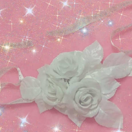 白薔薇 Stores