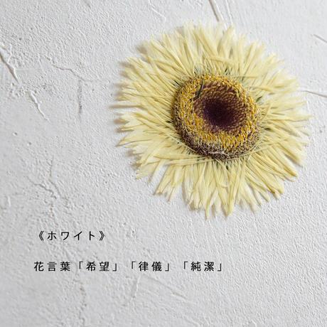 5f72db5a93f61930cfea16b4