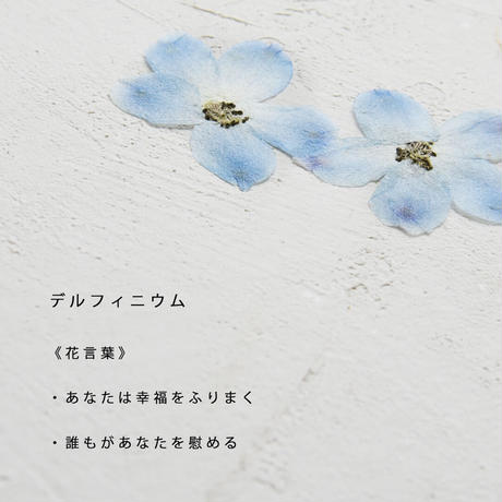 5f5059313475ed4026679e6b
