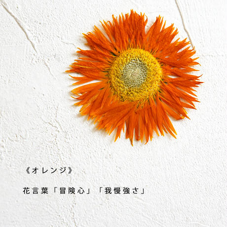 5f72db5a93f61930cfea16b4