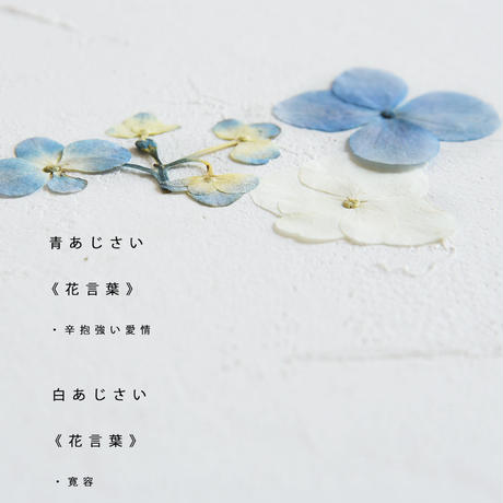 5f5059313475ed4026679e6b