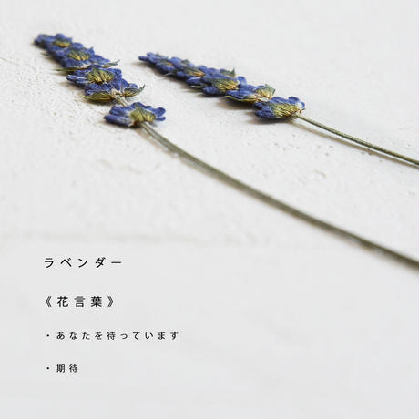 5f5059313475ed4026679e6b