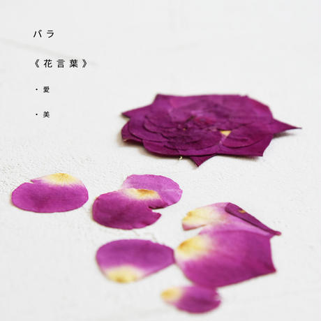 5f5059313475ed4026679e6b