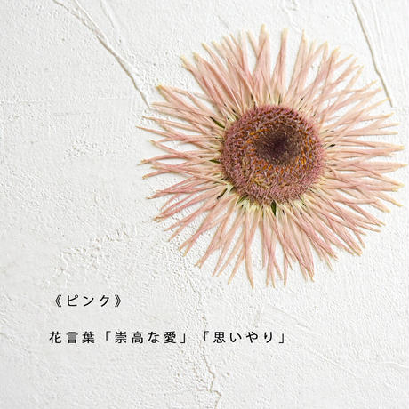 5f72db5a93f61930cfea16b4