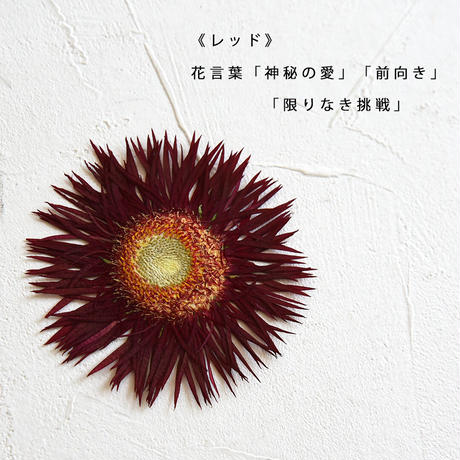 5f72db5a93f61930cfea16b4