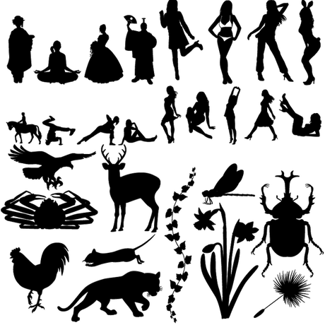 5c0fc56bc49cf3397fc67a96
