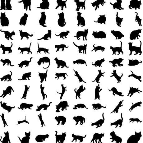 5c12ef3f2a28624c41cfb3dd