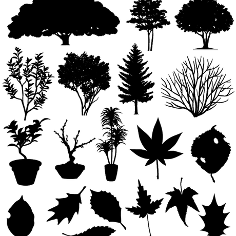 5c12ee6c2a28624c41cfb398