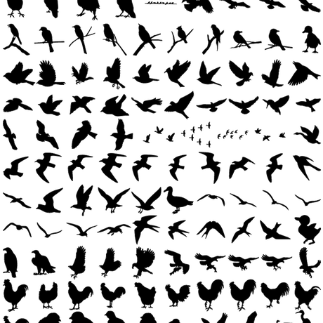 5c12ef0fc49cf3560da60b7d