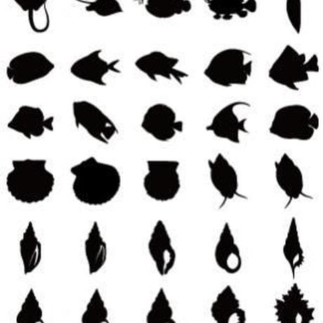 5c1100b8c49cf31634dcfeea