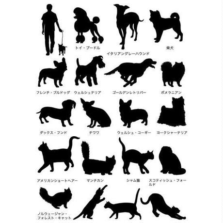 5c0fc56bc49cf3397fc67a96