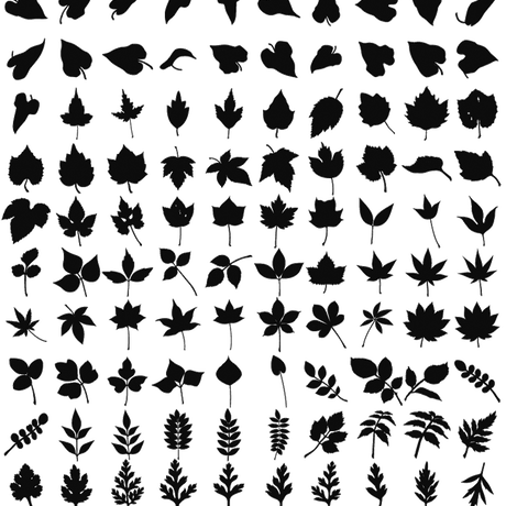 5c12ee6c2a28624c41cfb398