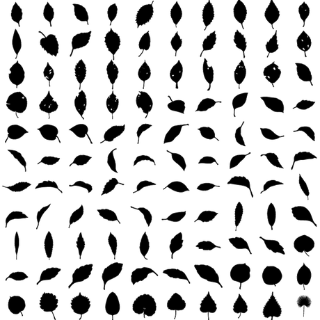 5c12ee6c2a28624c41cfb398