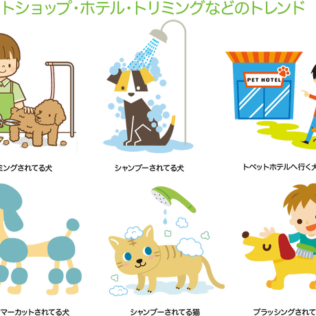 5c175a0fd0693b75acc30a62
