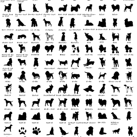 5c12ef3f2a28624c41cfb3dd
