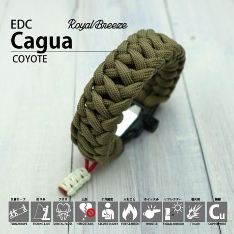 59c52fc03210d52a44000de2