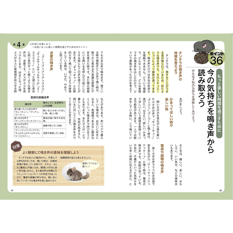 5f8917263313d26c72505aff