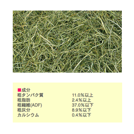 5aac9a56122a7d6df90000ed