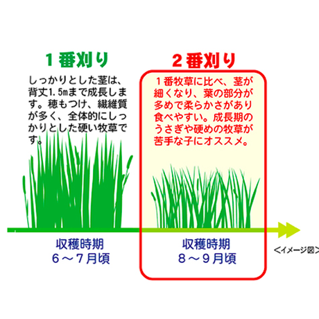 5aac9a56122a7d6df90000ed