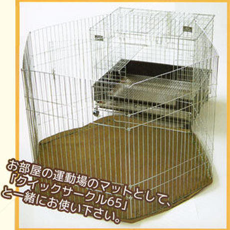 54fc2e423cd4828db10043ff