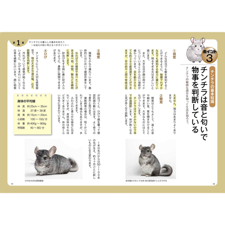 5f8917263313d26c72505aff