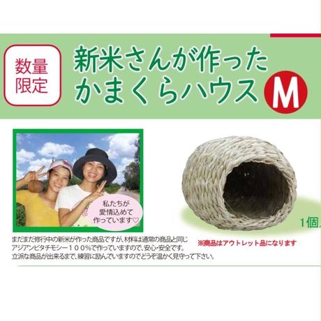 5e3104d5c78a5301511b51bd
