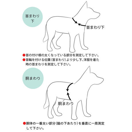 5b1a0ff95f78661c1c001949