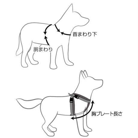 5b1a0ff95f78661c1c001949