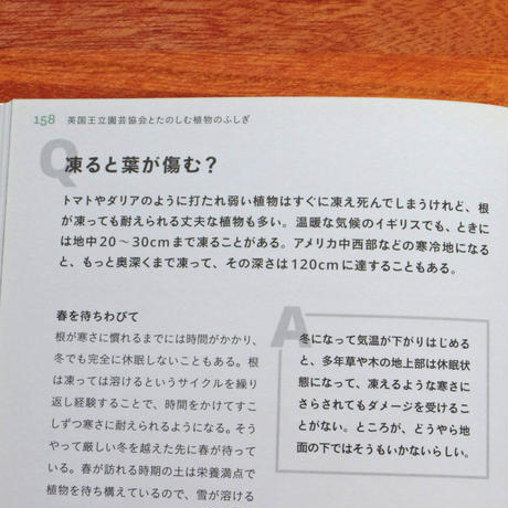 5c273c8ec3976c28194e934f