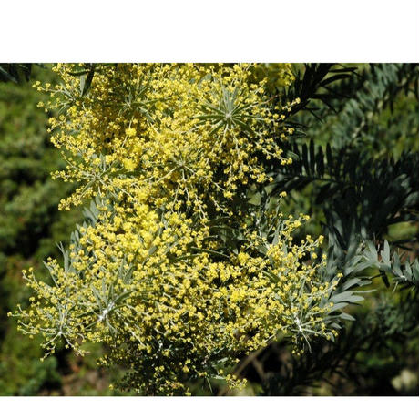 5b6c3f7ca6e6ee386d001e9c