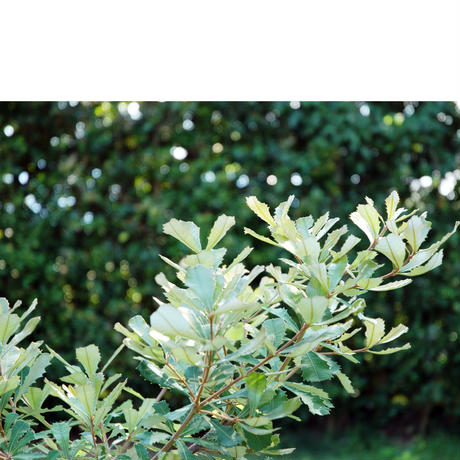 5baeae0c5496ff49d00004ee