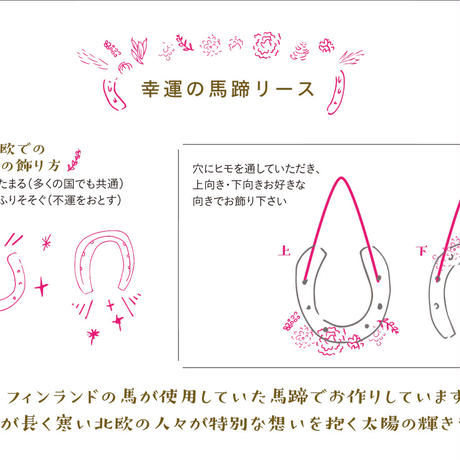 5a2ff39cf22a5b269f00254d