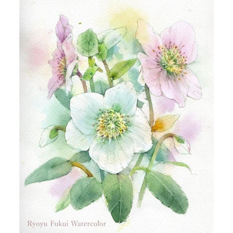 花の水彩画 Stores