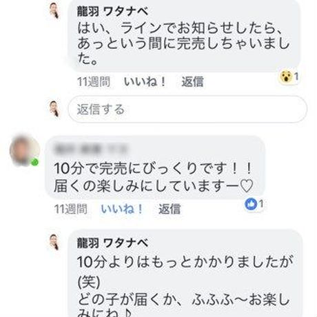 5c3b444ec49cf372e13eb49a