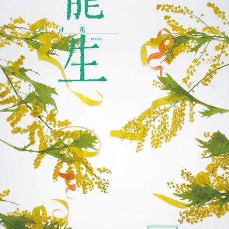 5906a7a1cf19cf0b64000655
