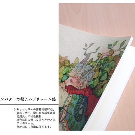 531c4b848a56101de4000d73