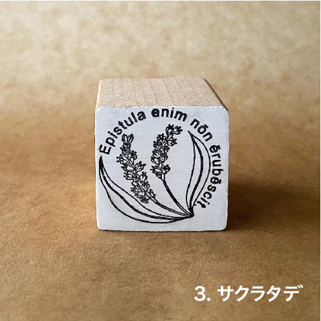 5eef6489d26fa516c74b769d