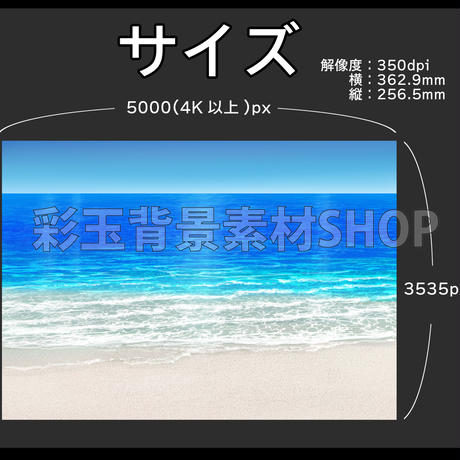 5d539bef3a7e9636b383c99e