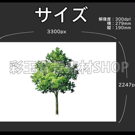 5cf392b95f61ce6241502e5f
