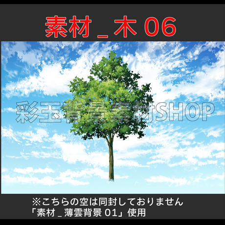 5cf392b95f61ce6241502e5f