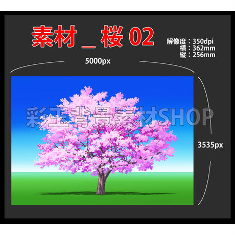 5e42890c94cf7b298965a554