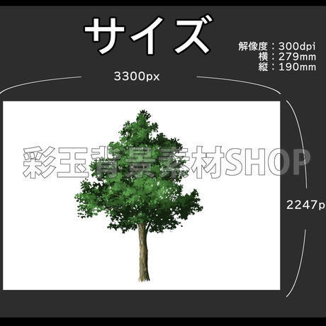 5cf391685f61ce6241502dbf