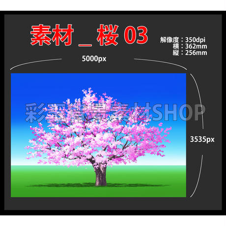 5e428a21cf327f47c143554c