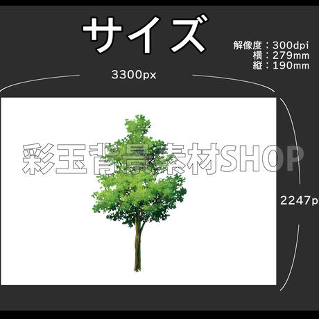 5cf39238d211bf7eca7b5d3a