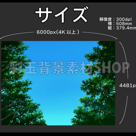 5cf3989a0376c672d8b77fd6